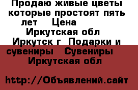 Продаю живые цветы которые простоят пять лет. › Цена ­ 2 500 - Иркутская обл., Иркутск г. Подарки и сувениры » Сувениры   . Иркутская обл.